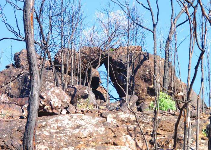 Burbie Canyon Walking Track Warrumbungle National Park - Credit: Sue Brookhouse | DCCEEW