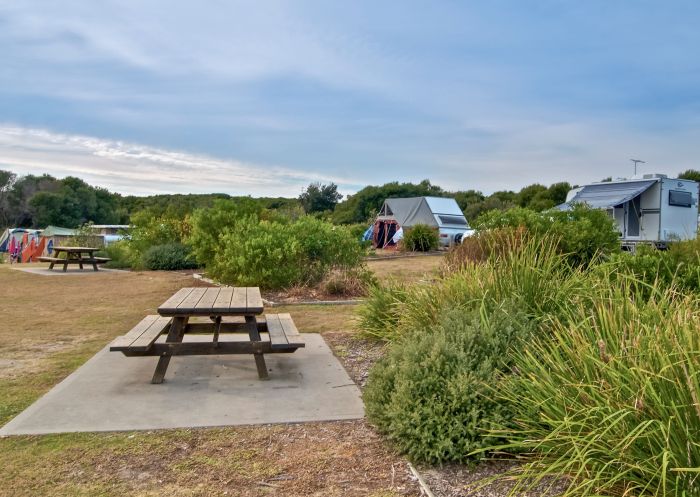 Freemans Campground - Credit: John Spencer | DCCEEW