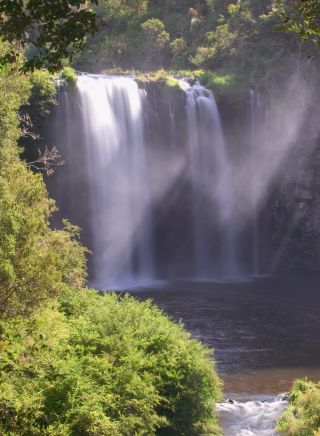 Scenic shot of Dangar Falls, near Dorrigo, North Coast