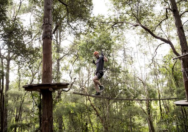 TreeTops Adventure, Wyong Creek Man enjoying a day out at the TreeTops Adventure, Wyong Creek, Central Coast