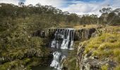 The scenic Ebor Falls in Guy Fawkes River National Park, Ebor