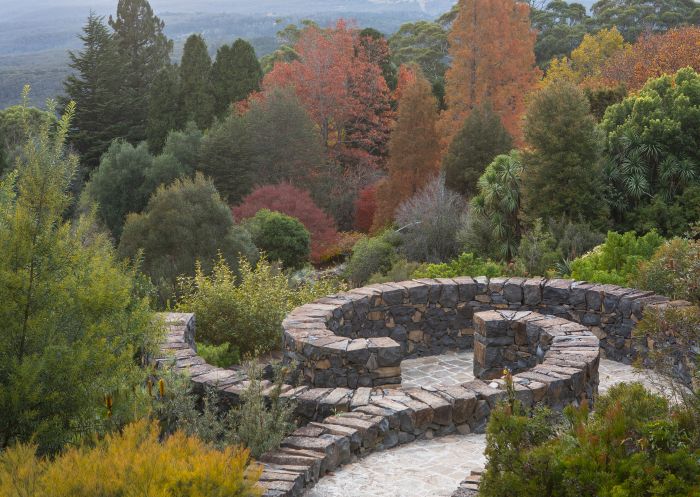 Blue Mountains Botanic Garden, Mount Tomah Winding path through the garden in Blue Mountains Botanic Garden, Mount Tomah