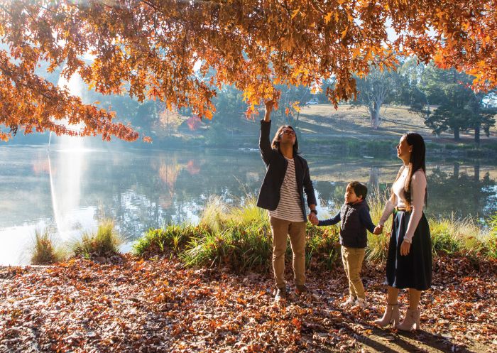 Lake Alexandra Reserve, Mittagong Family enjoying a walk around Lake Alexandra Reserve, Mittagong