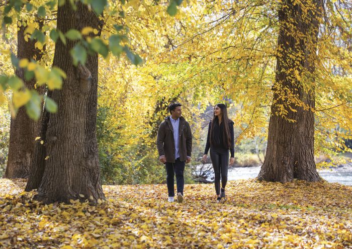 Tumut River Walk, Tumut Couple enjoying the autumn colours along the Tumut River walk, Tumut Area