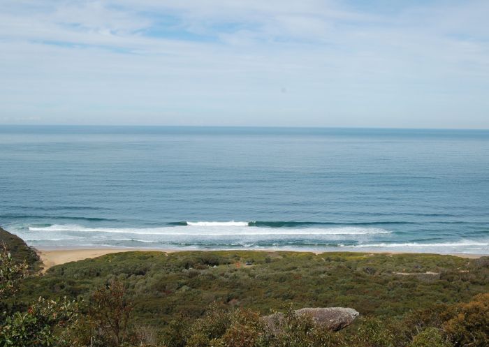 Tallow Beach Campground - Credit: Susan Davis | DCCEEW