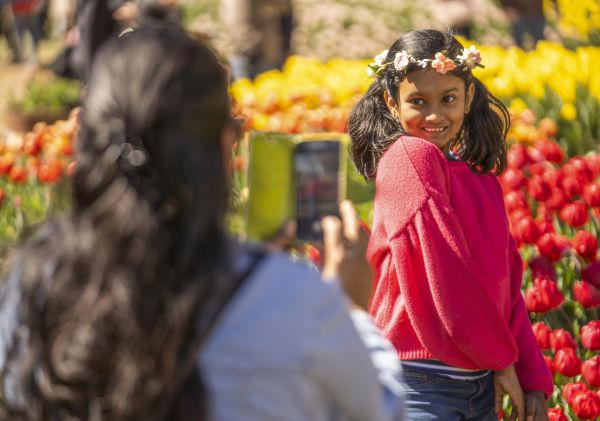 Tulip Time Festival in Corbett Gardens - Bowral