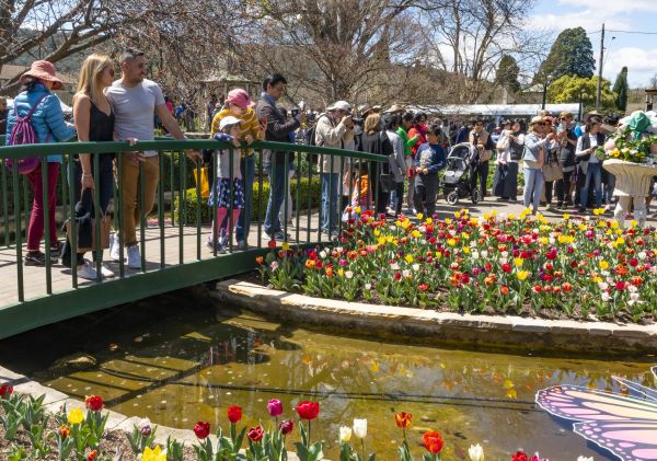 Tulip Time Festival - Bowral