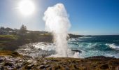 カイアマ・ブロウホールから噴き出す水柱、カイアマ 
