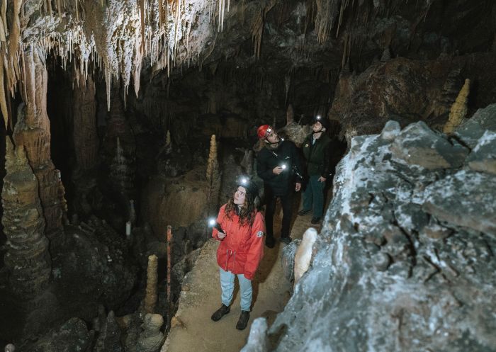 Yarrangobilly Caves, Kosciuszko National Park Couple touring the Yarrangobilly Caves, Kosciuszko National Park