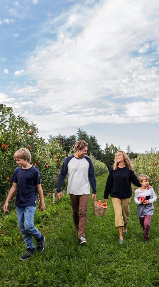 Family enjoying a day of apple picking at Shields Orchard, Bilpin