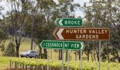 Car passing a local vineyard in the Hunter Valley