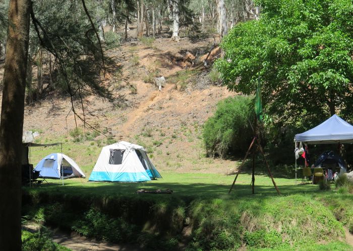 Abercrombie Caves campground, Bathurst Camping with tents at Abercrombie Caves campground, in Abercrombie Karst Conservation Reserve, Bathurst