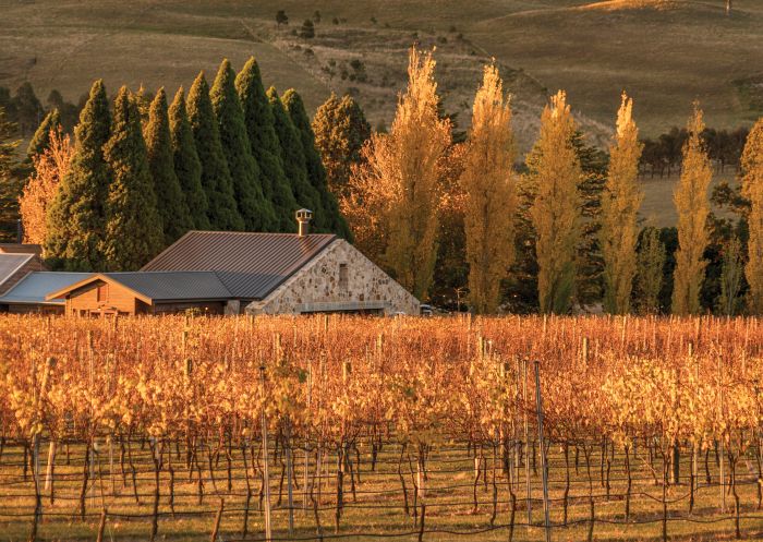 Autumn at Bendooley Estate, Berrima Autumn at Bendooley Estate, Berrima