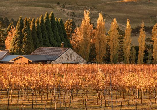 Autumn at Bendooley Estate, Berrima