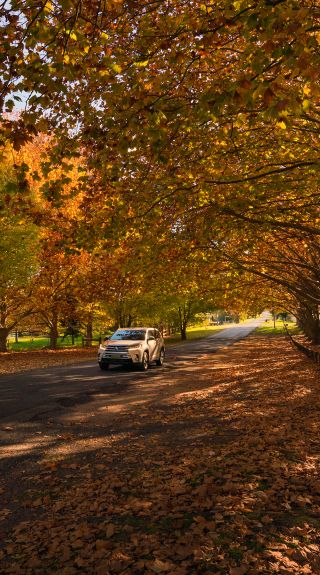 Millbrook Park, Tenterfield