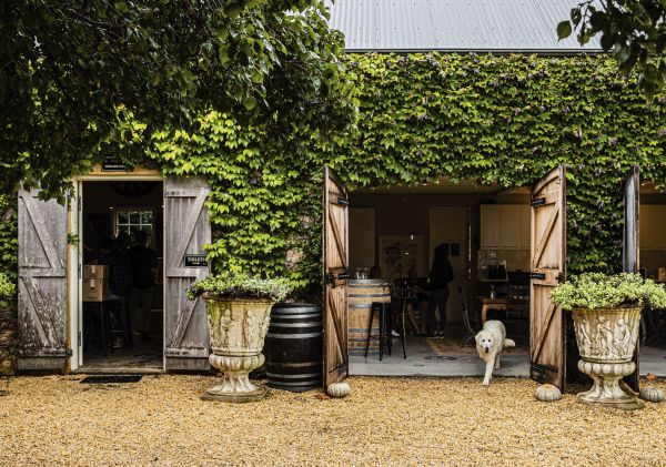 Krinklewood Vineyard - Credit: Nikki To Krinklewood Vineyard - Credit: Nikki To