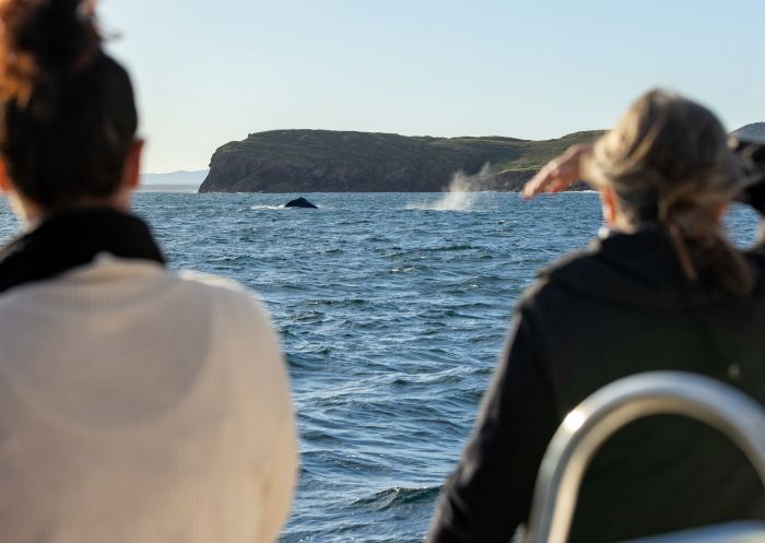 Imagine Cruises, Nelson Bay - Credit: DNSW Imagine Cruises, Nelson Bay - Credit: DNSW