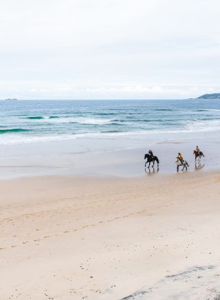 Aerial shot of horses running on beach with Cape Byron in background on a tour with Zephyr Horses