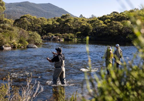 Thredbo River Fly Fishing , Snowy Mountains