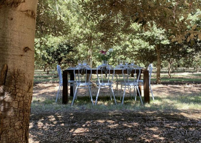 OakShade Truffles, Mullamuddy - Credit: OakShade Truffles OakShade Truffle Tasting, OakShade, Mullamuddy - Credit: OakShade Truffles