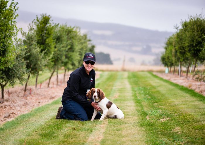 RedGround Truffle Hunts, Oberon - Credit: RedGround Truffle Hunts Woman with dog, RedGround Truffle Hunts, Oberon - Credit: RedGround Truffle Hunts