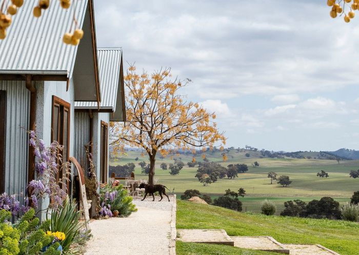 The Zin House Entrance, Mudgee