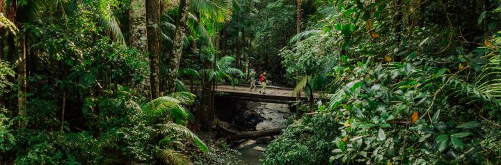 Gidjuum Gulganyi Walk, Scrub Creek Walking Track - Credit: Daniel Parsons