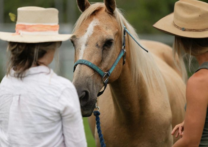 Sugar Beach Ranch,South Ballina - Credit: Robyn Stoddart Equine Wellness, Sugar Beach Ranch, South Ballina, North Coast NSW - Credit: Robyn Stoddart