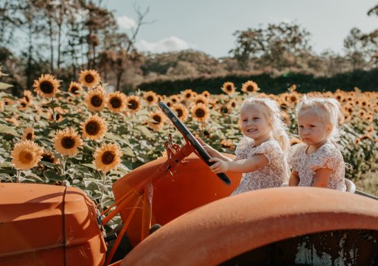 Twin girls on a tractor at the flower farm at Little Tin Shed, Medowie