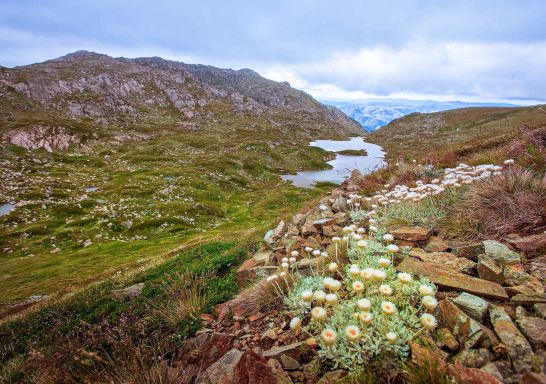 Main Range walking track at Kosciuszko National Park, Snowy Mountains