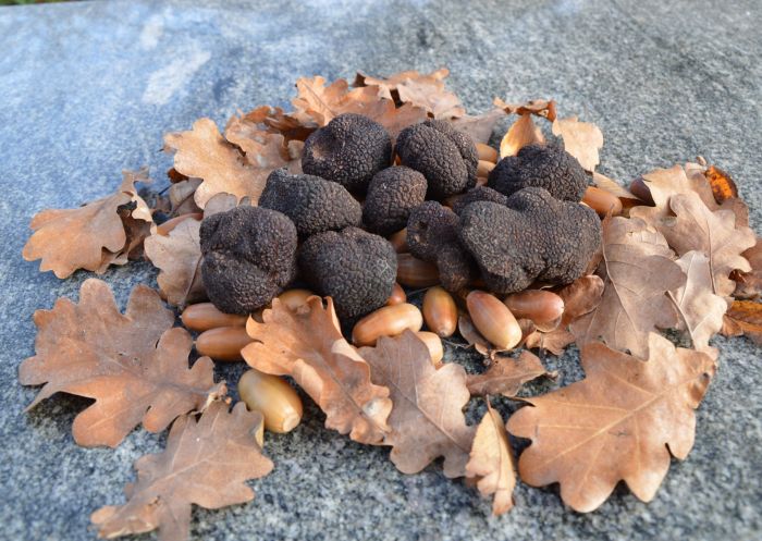 Turalla Truffles - Credit: Damian Robinson Turalla Truffles