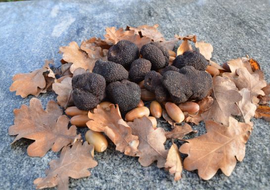 Turalla Truffles 